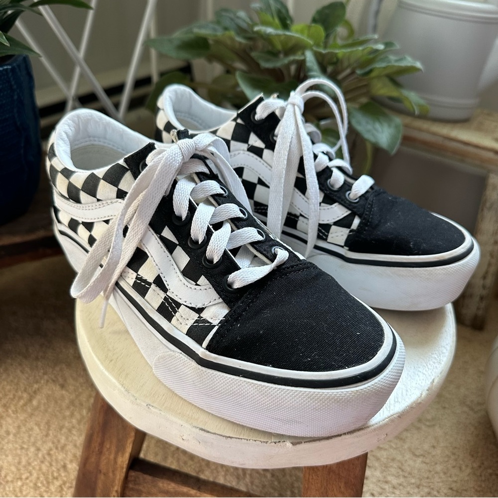 Custom platform vans